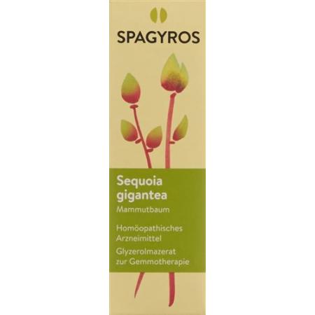 Spagyros Gemmo Sequoia gigantea Glyc Maz D 4 30 ml - PrimeCare Global