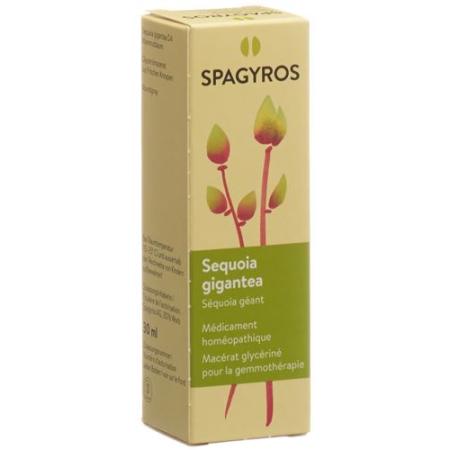 Spagyros Gemmo Sequoia gigantea Glyc Maz D 4 30 ml - PrimeCare Global