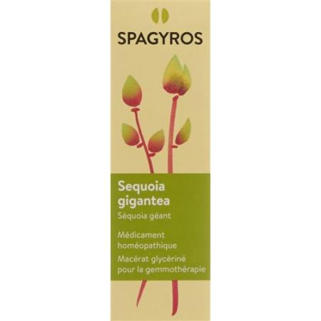 Spagyros Gemmo Sequoia gigantea Glyc Maz D 4 30 ml - PrimeCare Global