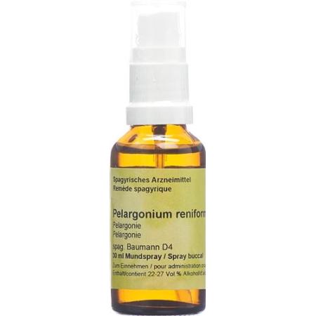 Spagyros Spagyr Pelargonium renif D 4 bottles 30 ml - PrimeCare Global