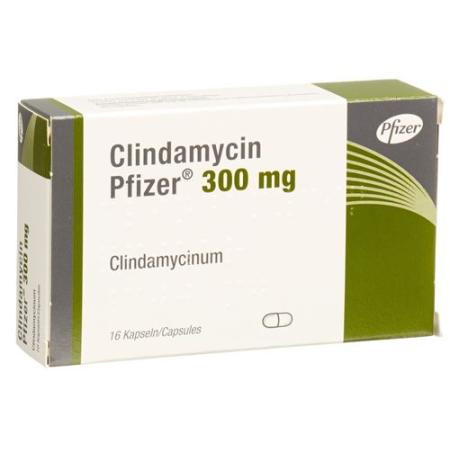 Clindamycin Pfizer Kaps 300 mg 16 pcs - PrimeCare Global