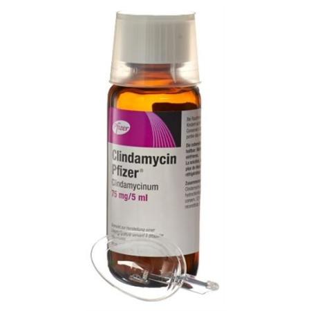 Clindamycin Pfizer Gran 75mg/5ml Bottle 80ml - PrimeCare Global