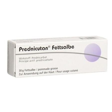 Prednicutan fatty ointment 2.5 mg/g Tb 30 g - PrimeCare Global