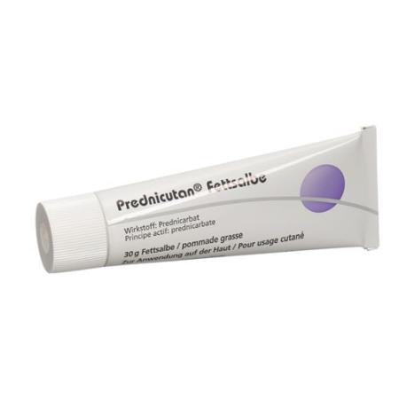Prednicutan fatty ointment 2.5 mg/g Tb 30 g - PrimeCare Global