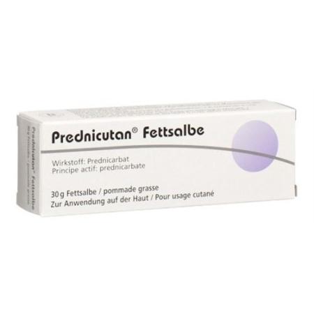 Prednicutan fatty ointment 2.5 mg/g Tb 30 g - PrimeCare Global