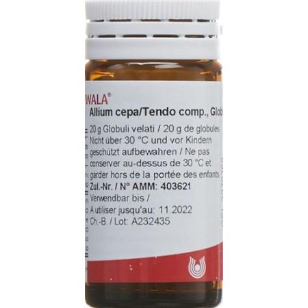Wala Allium cepa/Tendo comp. Glob bottle 20 g - PrimeCare Global