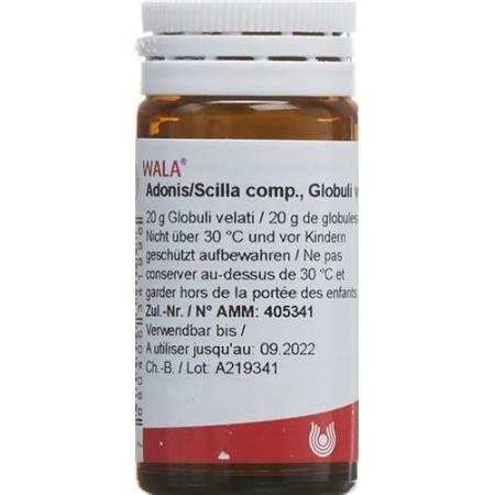 Wala Adonis/Scilla comp. Glob bottle 20 g - PrimeCare Global
