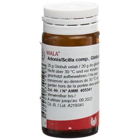Wala Adonis/Scilla comp. Glob bottle 20 g - PrimeCare Global