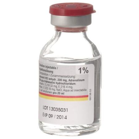 Rapidocaine 1% + Epinephrine 10 mcg/ml Inj Los Vial 20ml - PrimeCare Global