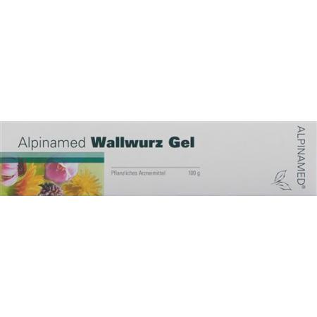 ALPINAMED Wallwurz Gel Tb 100 g - PrimeCare Global