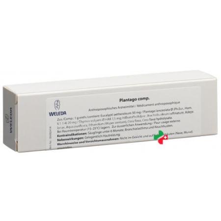 WELEDA Plantago comp Ungt - PrimeCare Global