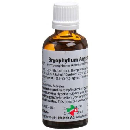 Weleda Bryophyllum Argento Cultum Dil D 2 50 ml - PrimeCare Global
