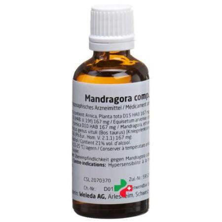 Weleda Mandragora comp Dil 50 ml - PrimeCare Global