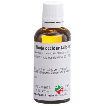 WELEDA Thuja occidentalis Dil D 6 50 ml - PrimeCare Global