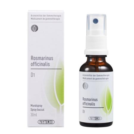 PHYTOMED GEMMO Rosmarinus officinal liq D 1 - PrimeCare Global
