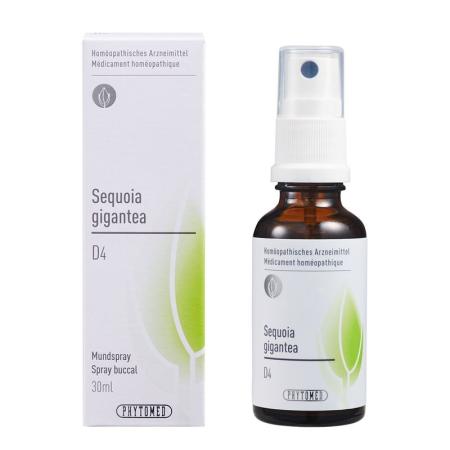 PHYTOMED GEMMO Sequoia gigantea liq D 4 - PrimeCare Global