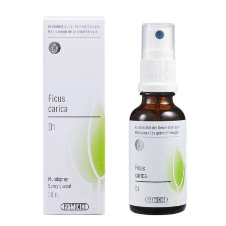 PHYTOMED GEMMO Ficus carica liq D 1 - PrimeCare Global