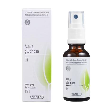 PHYTOMED GEMMO Alnus glutinosa liq D 1 - PrimeCare Global