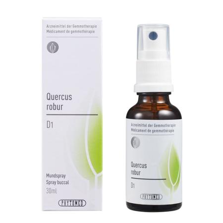 PHYTOMED GEMMO Quercus robur liq D 1 - PrimeCare Global