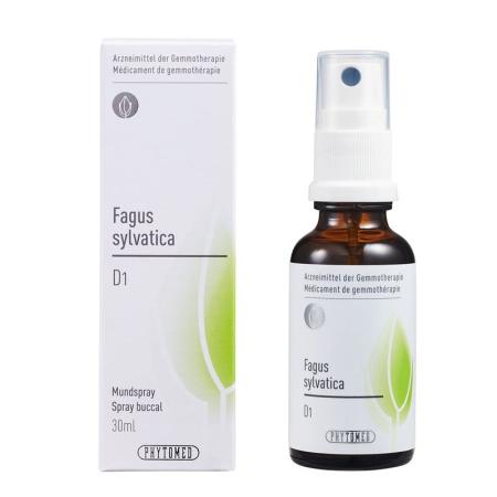 PHYTOMED GEMMO Fagus sylvatica liq D 1 - PrimeCare Global