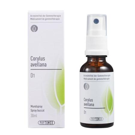 PHYTOMED GEMMO Corylus avellana liq D 1 - PrimeCare Global