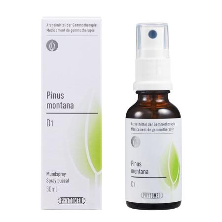 PHYTOMED GEMMO Pinus montana liq D 1 - PrimeCare Global