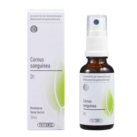 PHYTOMED GEMMO Cornus sanguinea liq D 1 - PrimeCare Global