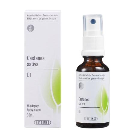 PHYTOMED GEMMO Castanea sativa liq D 1 - PrimeCare Global