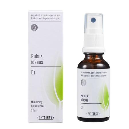 PHYTOMED GEMMO Rubus idaeus liq D 1 - PrimeCare Global