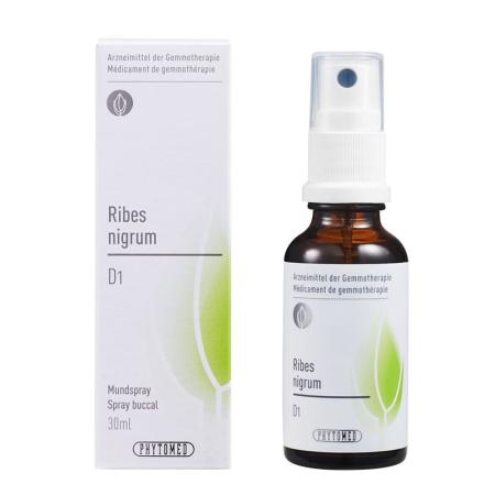 PHYTOMED GEMMO Ribes nigrum D 1 - PrimeCare Global