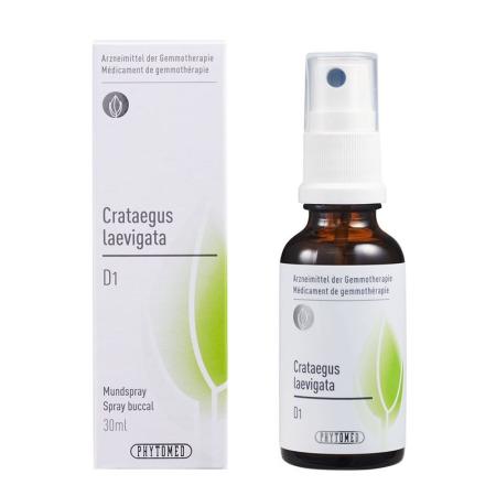 PHYTOMED GEMMO Crataegus laevigata liq D 1 - PrimeCare Global