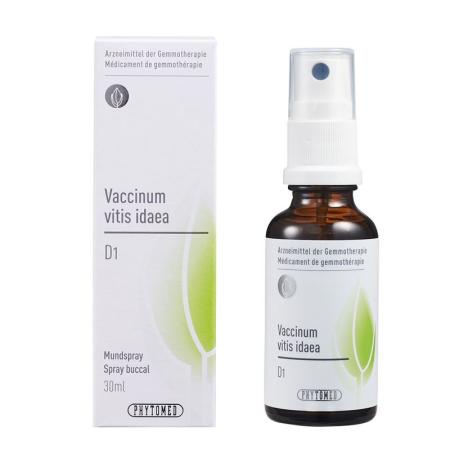 PHYTOMED GEMMO Vaccinium vitis ida liq D 1 - PrimeCare Global