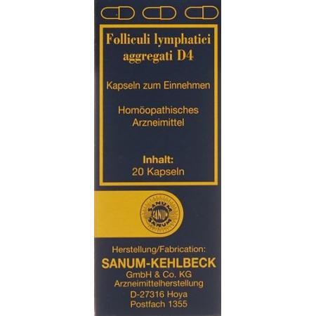 Sanum Aggregated Lymphatic Follicles Caps D 4 20 pcs - PrimeCare Global