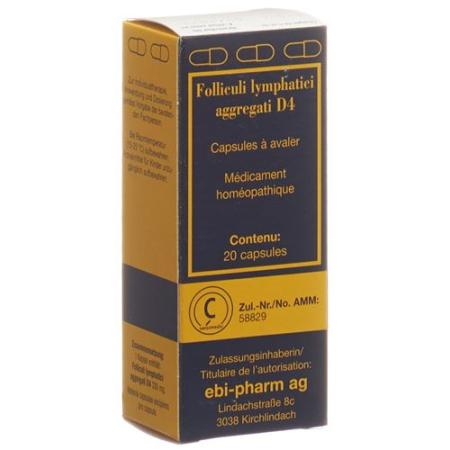 Sanum Aggregated Lymphatic Follicles Caps D 4 20 pcs - PrimeCare Global