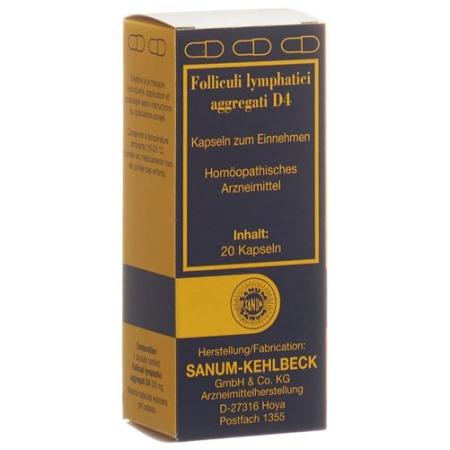 Sanum Aggregated Lymphatic Follicles Caps D 4 20 pcs - PrimeCare Global