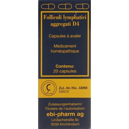 Sanum Aggregated Lymphatic Follicles Caps D 4 20 pcs - PrimeCare Global