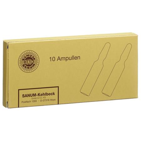 Sanum Glandula thymi Inj L&ouml;s D 6 10 amp 2 ml - PrimeCare Global