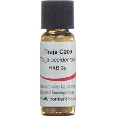 Omida Thuja Glob C 200 2 g - PrimeCare Global