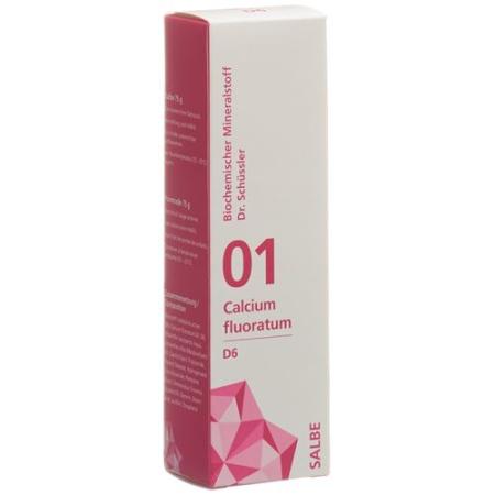 PHYTOMED SCH&Uuml;SSLER Nr1 Calcium Fluoratum Ointment D 6 75 g - PrimeCare Global