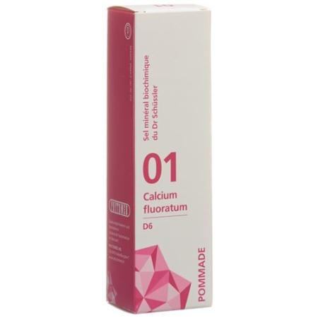 PHYTOMED SCH&Uuml;SSLER Nr1 Calcium Fluoratum Ointment D 6 75 g - PrimeCare Global