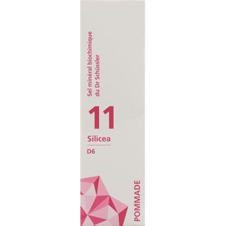 PHYTOMED SCH&Uuml;SSLER Nr11 Silicea Ointment D 6 75 g - PrimeCare Global
