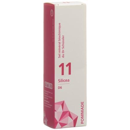 PHYTOMED SCH&Uuml;SSLER Nr11 Silicea Ointment D 6 75 g - PrimeCare Global
