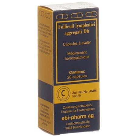 Sanum Folliculi lymphatici aggregati Kaps D 6 20 pcs - PrimeCare Global