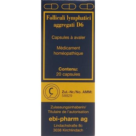 Sanum Folliculi lymphatici aggregati Kaps D 6 20 pcs - PrimeCare Global
