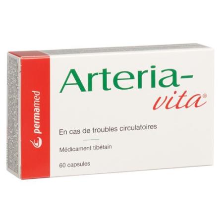 Arteria-vita capsules 60 pcs - PrimeCare Global