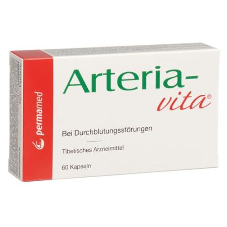 Arteria-vita capsules 200 pcs - PrimeCare Global