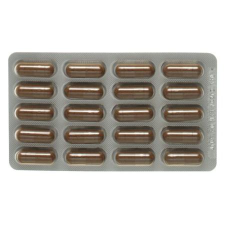 Arteria-vita capsules 200 pcs - PrimeCare Global