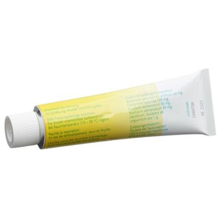Pulmex Ointment Tube 40 g - PrimeCare Global