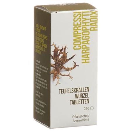 Dixa Teufelskrallenwurzel 250 tablets - PrimeCare Global