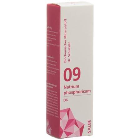 PHYTOMED SCH&Uuml;SSLER Nr9 sodium phosphoricum ointment D 6 75 g - PrimeCare Global